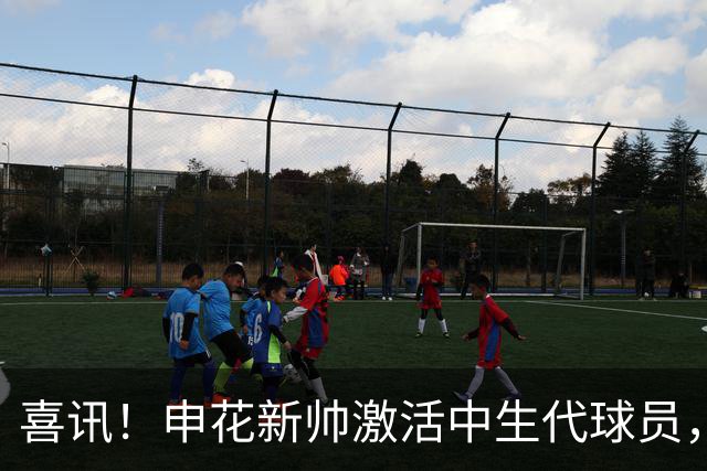 喜讯！申花新帅激活中生代球员，掀起职业生涯新高潮
